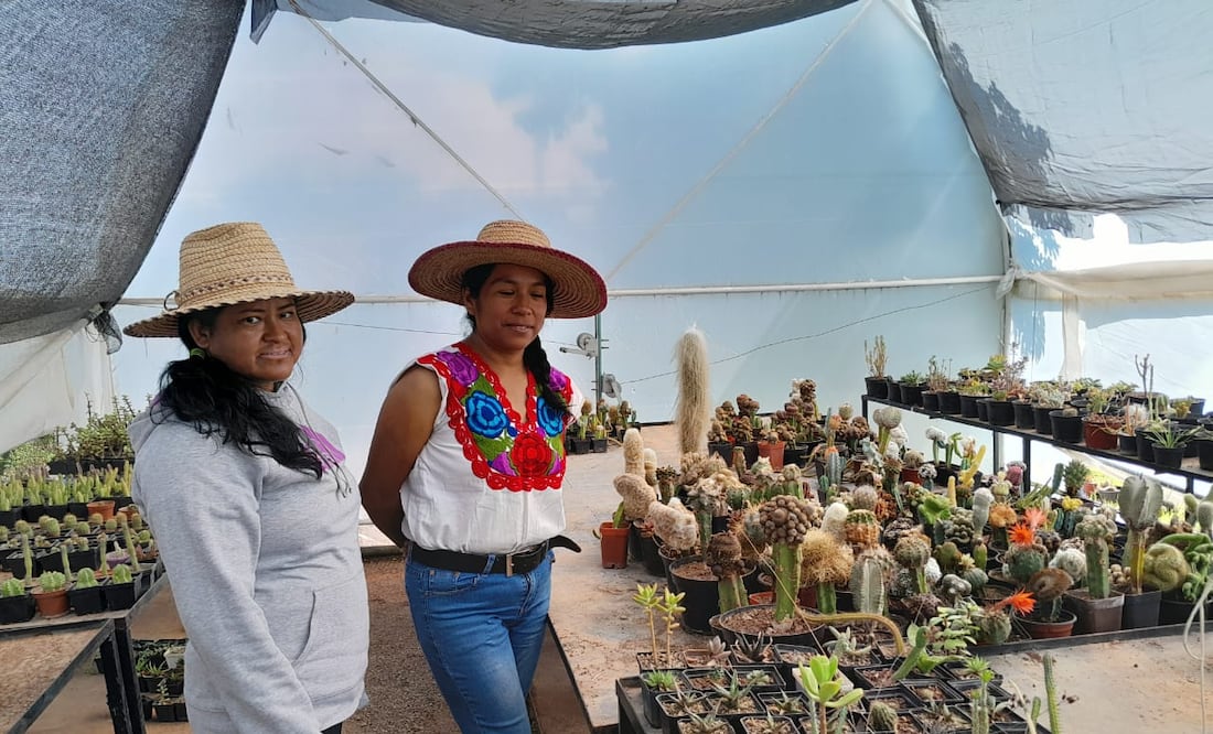 Foto: Erika Gutierrez