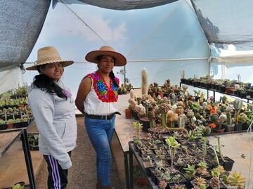 Mujeres indígenas de Alfajayucan seleccionadas en convocatoria nacional de Turismo Comunitario
