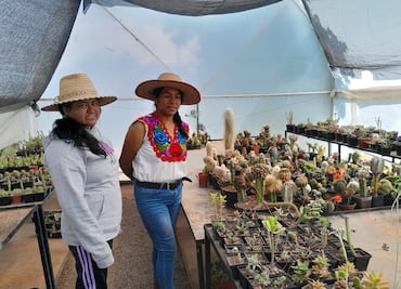 Mujeres indígenas de Alfajayucan seleccionadas en convocatoria nacional de Turismo Comunitario
