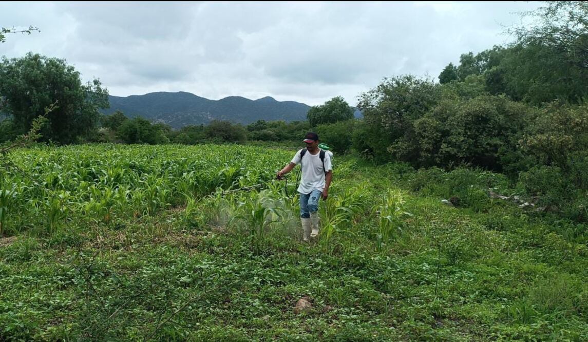 Fotos: Cortesía familia Hernández