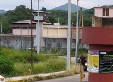 Vinculan a proceso a hombre por matar a un perro en Xochiatipan