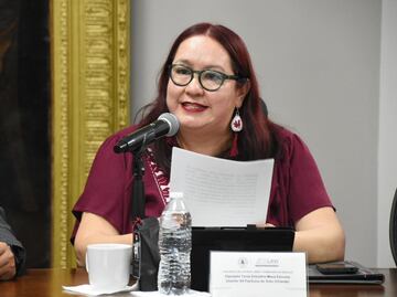 Diputada Tania Meza pide acceso libre de periodistas a sesiones de cabildo en Hidalgo