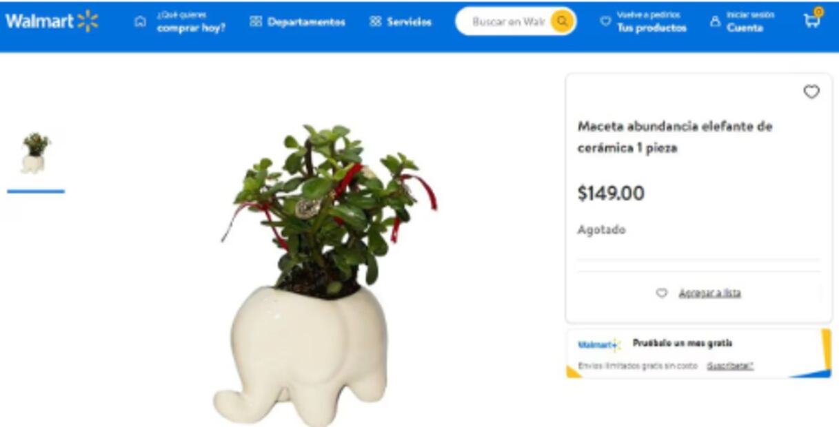 Mujer critica a Walmart por vender "plantas anticristianas" para Año | Captura de pantalla