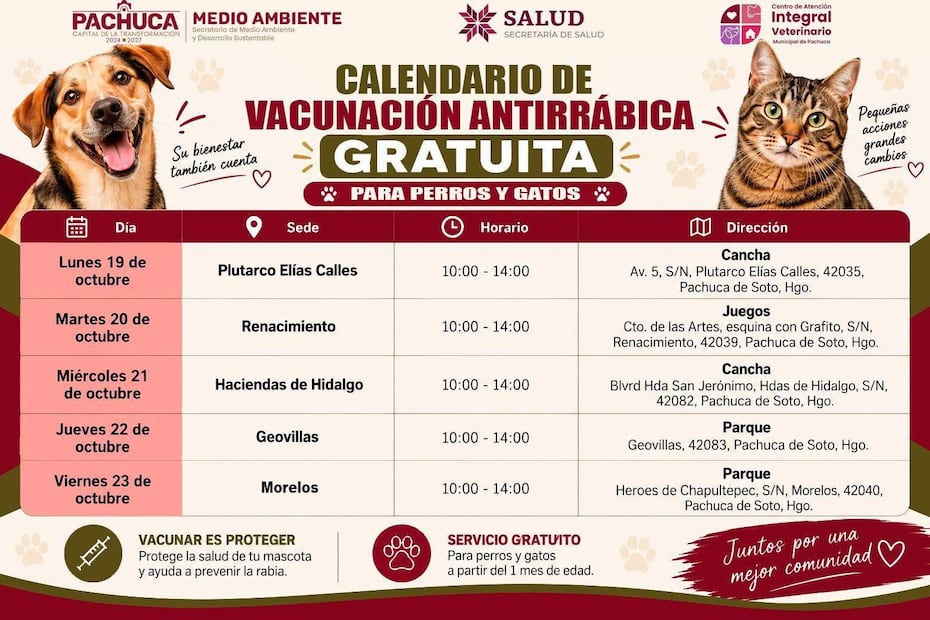 ¡Vacunación antirrábica gratuita en Pachuca! Cortesía: ayuntamiento de Pachuca