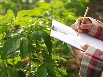 Difícil panorama para el sector agropecuario por estiaje