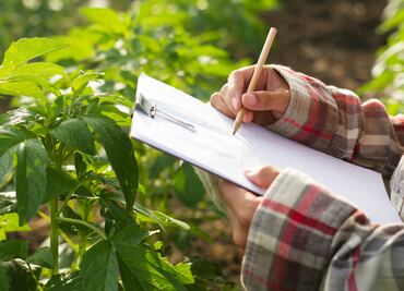 Difícil panorama para el sector agropecuario por estiaje