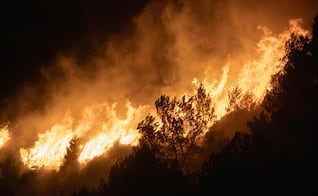 Investigan dos incendios forestales presuntamente provocados en Hidalgo durante 2026