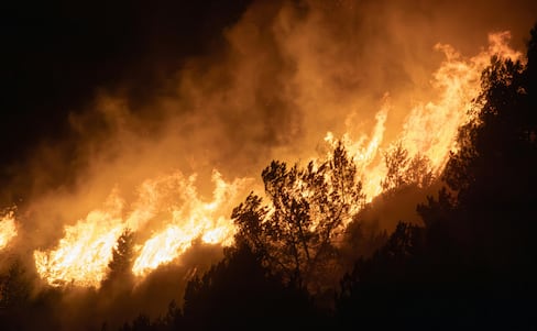 Investigan dos incendios forestales presuntamente provocados en Hidalgo durante 2026