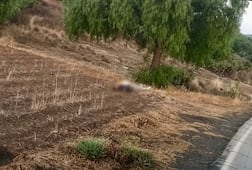 Ejecutan a pareja en terreno de cultivo de Zempoala