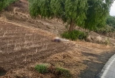 Ejecutan a pareja en terreno de cultivo de Zempoala