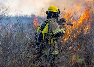 Aumenta 20% incendios en pastizales y predios abandonados