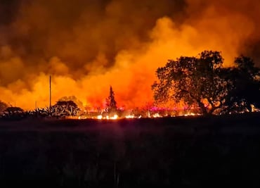 Controlan incendio en El Llano Segunda Sección; afectó 10 hectáreas de pastizal