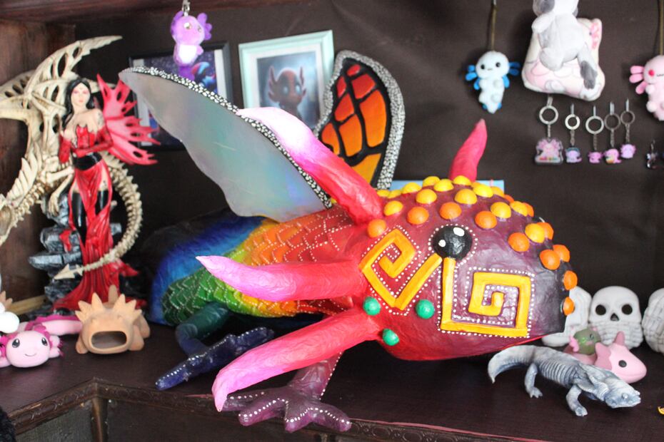 Con 13 años, Estefanía Pérez alza la voz por el ajolote desde el primer ajolotario de Hidalgo | Foto: Cinthya Carbajal