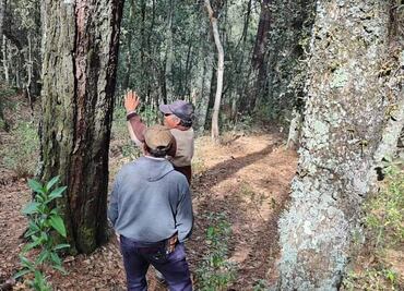 Silvicultores hidalguenses atentos ante el inició de calor por incendios forestales