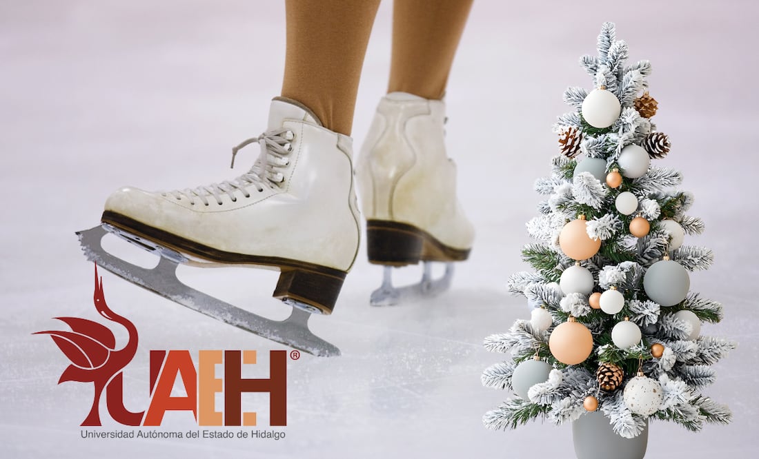 ¡Llega la magia de la Navidad Garza! | Foto: Aflo