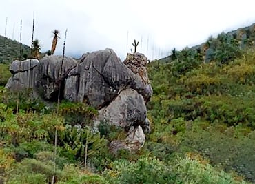 El misticismo de la Piedra Campana, una conexión ancestral en el Valle del Mezquital