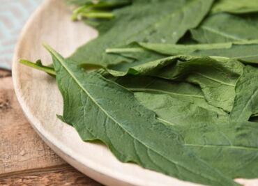 Descubre los increíbles beneficios de tomar té de epazote