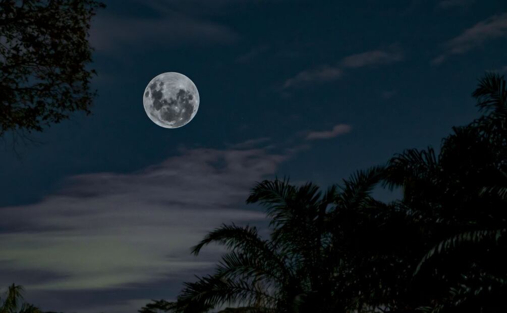 Luna de Flores 2024: ¿Cuándo será el evento astronómico de mayo? | Foto: Pexels