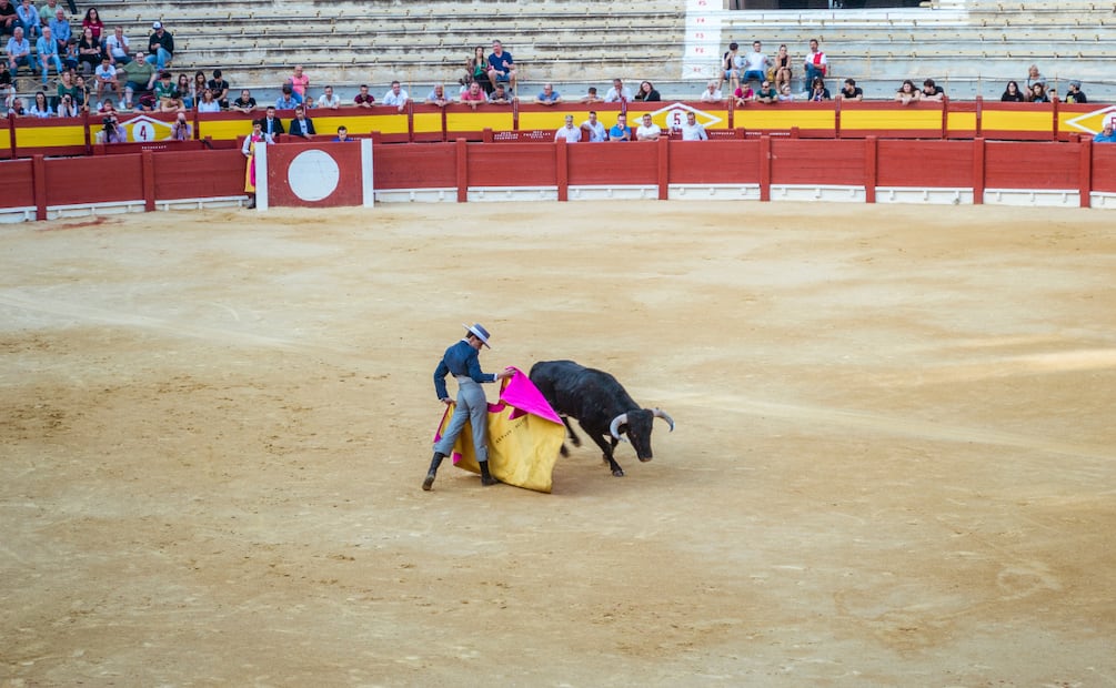 Sector taurino rechaza prohibición de corridas en Hidalgo por impacto económico y social | Foto: Pexels