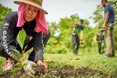 Sembrando Vida en algunas mujeres generó sobre carga de trabajo
