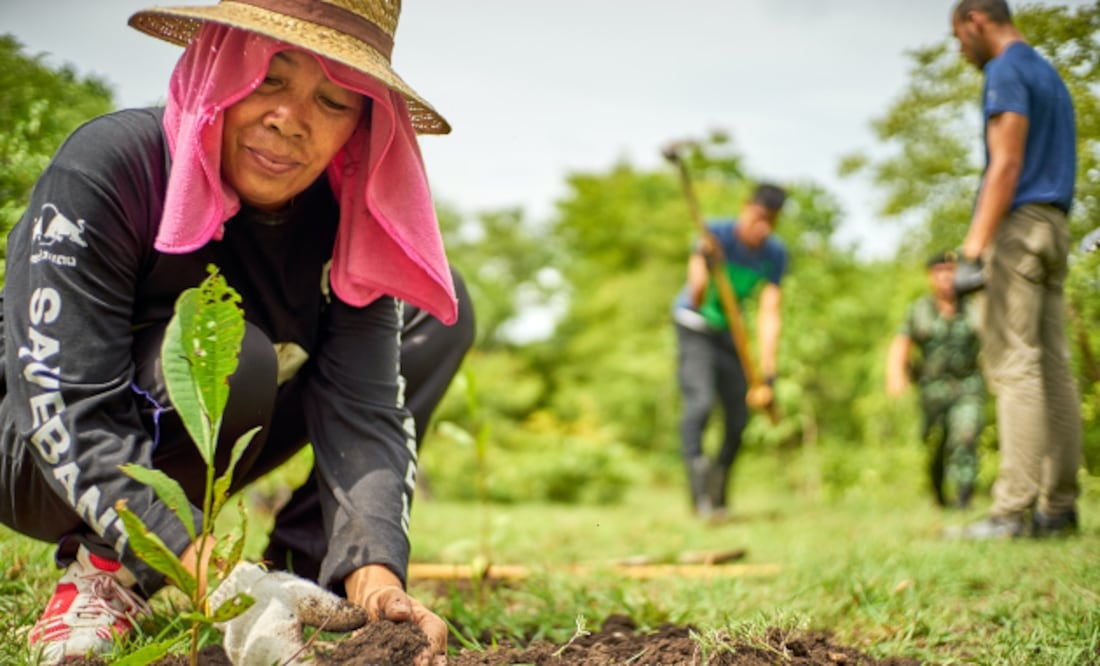 En la evaluación del Programa Sembrando Vida se detectó que en la condición de las mujeres hay sobrecarga de trabajo I Foto: agroorganico
