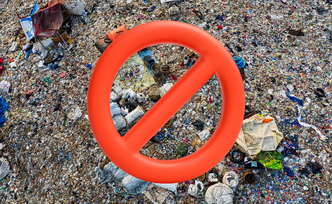 Los basureros clandestinos se sitúan en la Huasteca y el Valle del Mezquital | Foto: Pexels