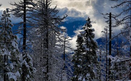 Tormenta invernal provocará la caída de nieve en 7 estados