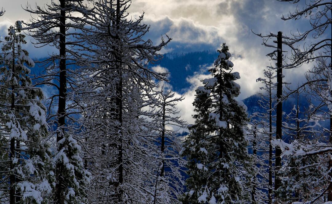 Dichos sistemas mantendrán la probabilidad de caída de nieve o aguanieve | Imagen ilustrativa
