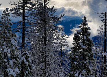 Tormenta invernal provocará la caída de nieve en 7 estados