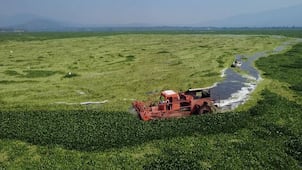 Falta de combustible frena limpieza en la Presa Endhó