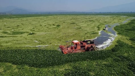 Piden 800 litros diarios de diésel para presa Endhó 
