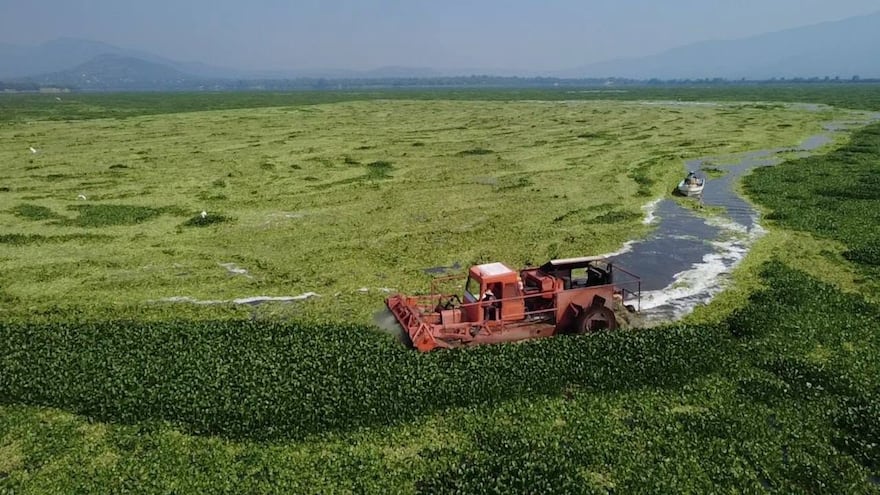 Falta de combustible frena limpieza en la Presa Endhó