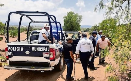 Hallan 4 hombres asesinados a tiros en un camino de terracería en los límites del Edomex e Hidalgo