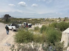 Ataques de perros dejan dos muertos y dos lesionados en Tizayuca