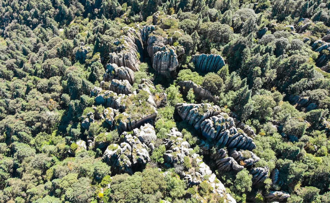 ¿Te atreverías a recorrer un laberinto de piedra de 25 millones de años? Facebook: H-GO Adventures