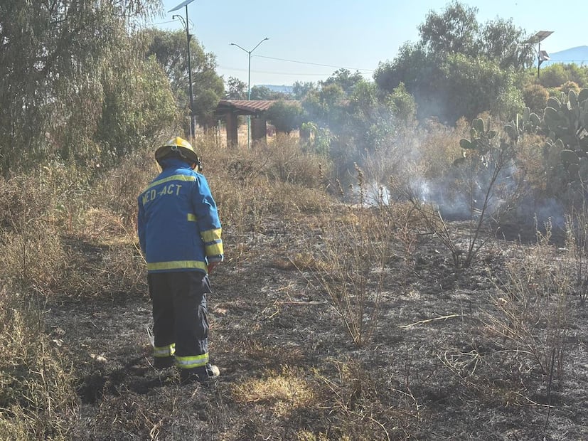 Protección Civil atiende cinco incendios de pastizales en Mineral de la Reforma | Foto: especial