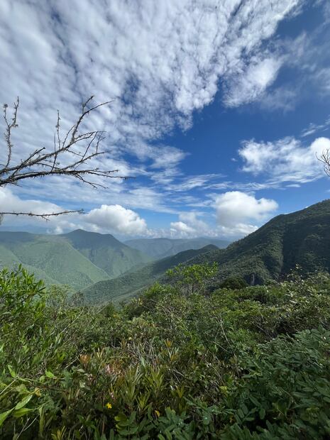 Monitoreo biológico en Las Adjuntas busca proteger fauna silvestre en riesgo | Foto: Semarnath