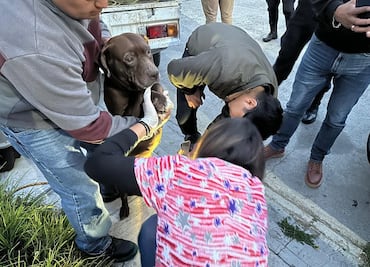 Rescatan a canino en situación de abandono en Praderas de Virreyes