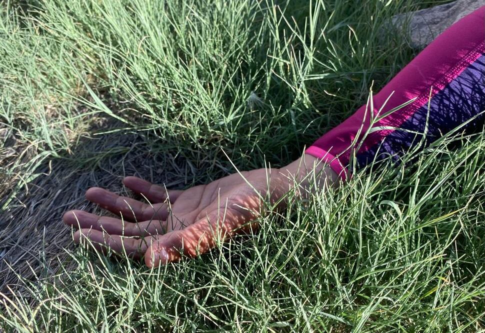 La violencia contra las mujeres a veces también cobra la vida de los hijos que llevan en sus entrañas.
 Foto: Especial