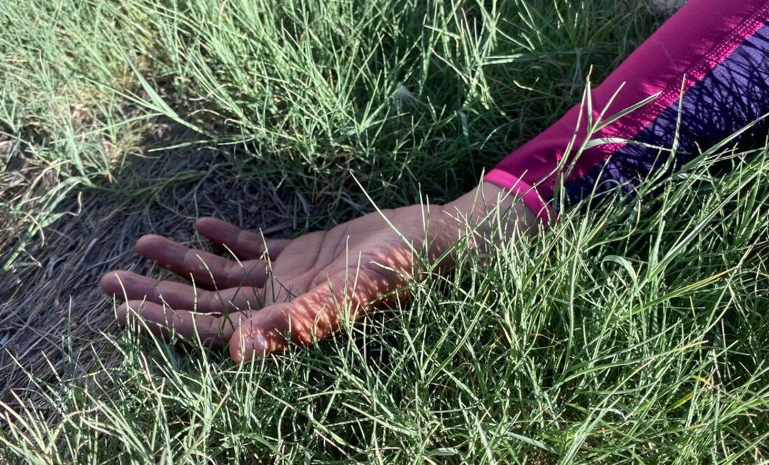 La violencia contra las mujeres a veces también cobra la vida de los hijos que llevan en sus entrañas.
 Foto: Especial