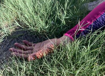 Por el delito de aborto, parejas de mujeres  son sentenciados