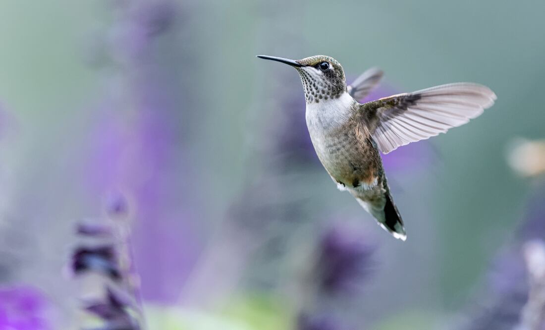 ¡Tizayuca te espera! Foto: Pexels