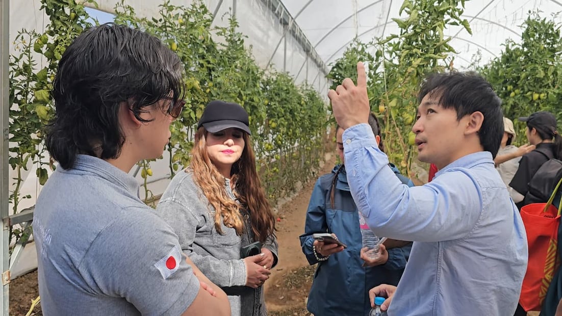 JICA y empresas japonesas exploran alianzas tecnológicas con productores de Cuautepec | Foto: especial
