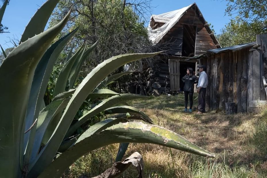 Una experiencia que va más allá del pulque | Facebook: La Ruta de los Tinacales