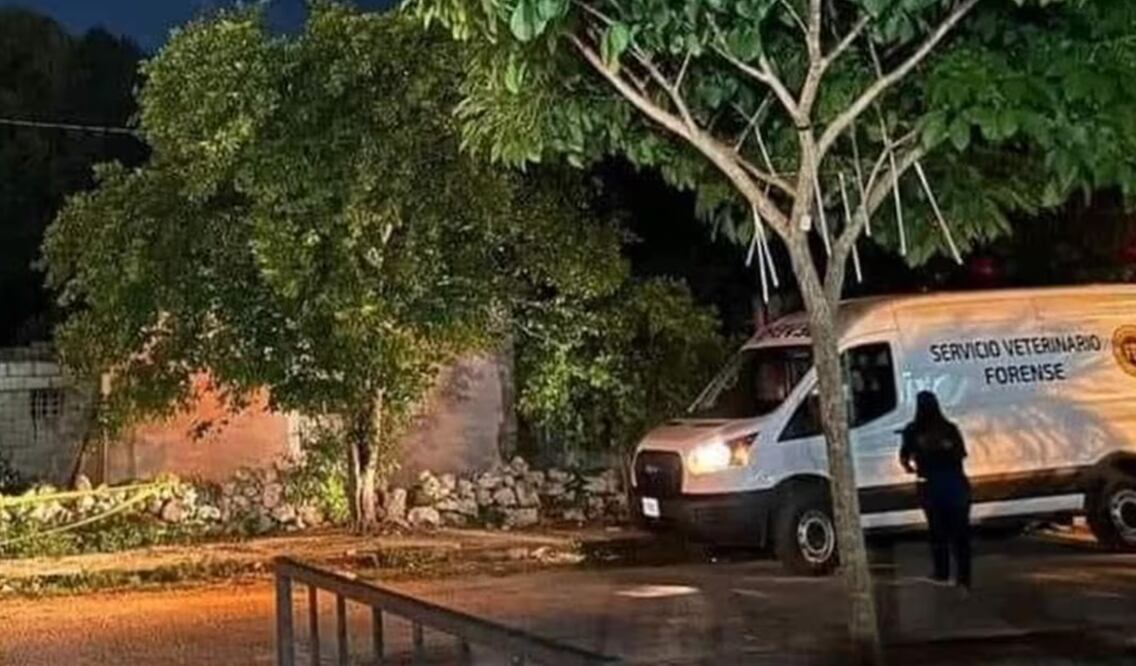 Un sujeto le cortó el cuello a un perrito mestizo en Mérida, Yucatán (12/10/2024). Foto: Especial