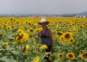 Tulancingo celebrará la primera Feria de los Girasoles el 19 de octubre