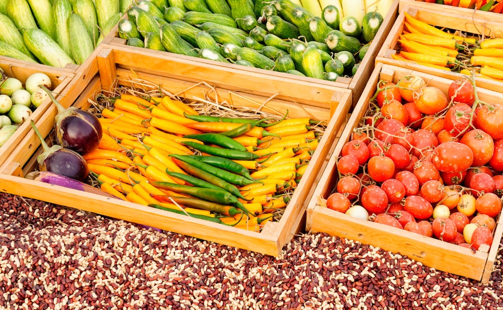 Tulancingo será sede de la Expo Agroalimentaria Hidalgo 2025 con más de 170 expositores | Imagen ilustrativa