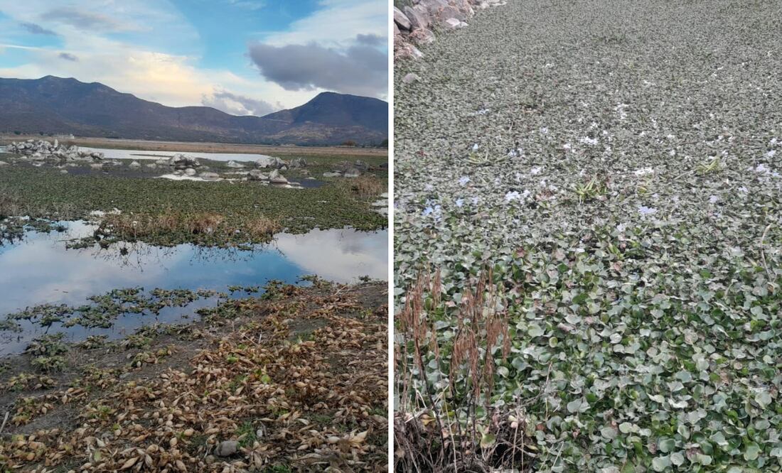 Foto: Erika Gutiérrez