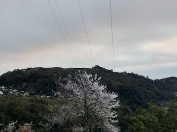 Aguanieve y frío extremo transforman la Sierra Alta de Hidalgo