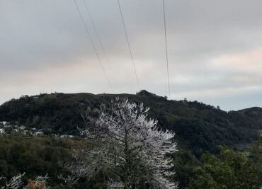 Aguanieve y frío extremo transforman la Sierra Alta de Hidalgo